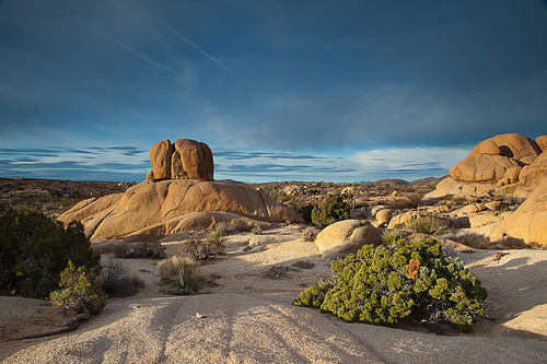 Национальный Парк Джошуа-Три (Joshua Tree)